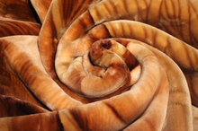 Load image into Gallery viewer, SOLARON 1 Lion Blanket