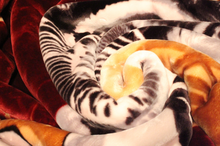 Load image into Gallery viewer, SOLARON 1 Tiger Blanket