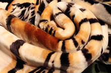 Load image into Gallery viewer, SOLARON 3 Tigers Blanket