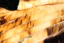 Load image into Gallery viewer, SOLARON Deer Blanket