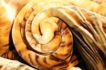 Load image into Gallery viewer, SOLARON Deer Blanket