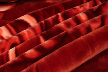 Load image into Gallery viewer, SOLARON Dragon Blanket