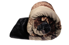 Load image into Gallery viewer, SOLARON Eagle Blanket