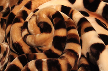 Load image into Gallery viewer, SOLARON Leopard Print Blanket