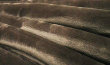 Load image into Gallery viewer, SOLARON Solid Colors Blanket