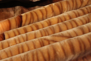 SOLARON 1 Lion Blanket