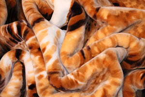 SOLARON 3 Lions Blanket