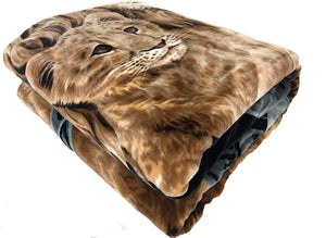 SOLARON 3 Lions Blanket
