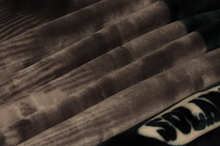 Load image into Gallery viewer, SOLARON Eagle Blanket

